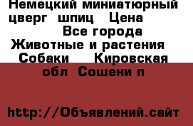 Немецкий миниатюрный(цверг) шпиц › Цена ­ 50 000 - Все города Животные и растения » Собаки   . Кировская обл.,Сошени п.